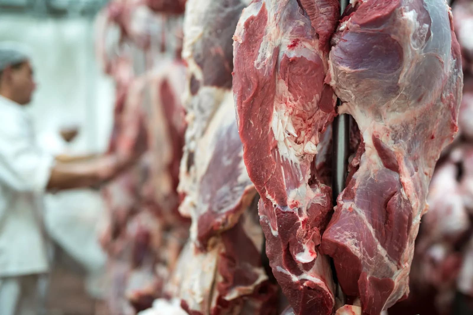 Oferta menor de boi para abate eleva o custo da carne no supermercado