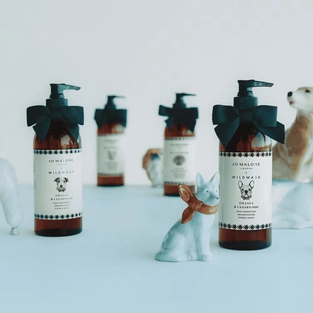 Casa britânica de fragrâncias, Jo Malone lança shampoo para cães