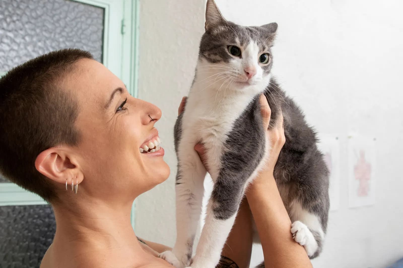 O mercado pet mira R$ 81,35 bilhões — e os gatos entram no centro da conversa