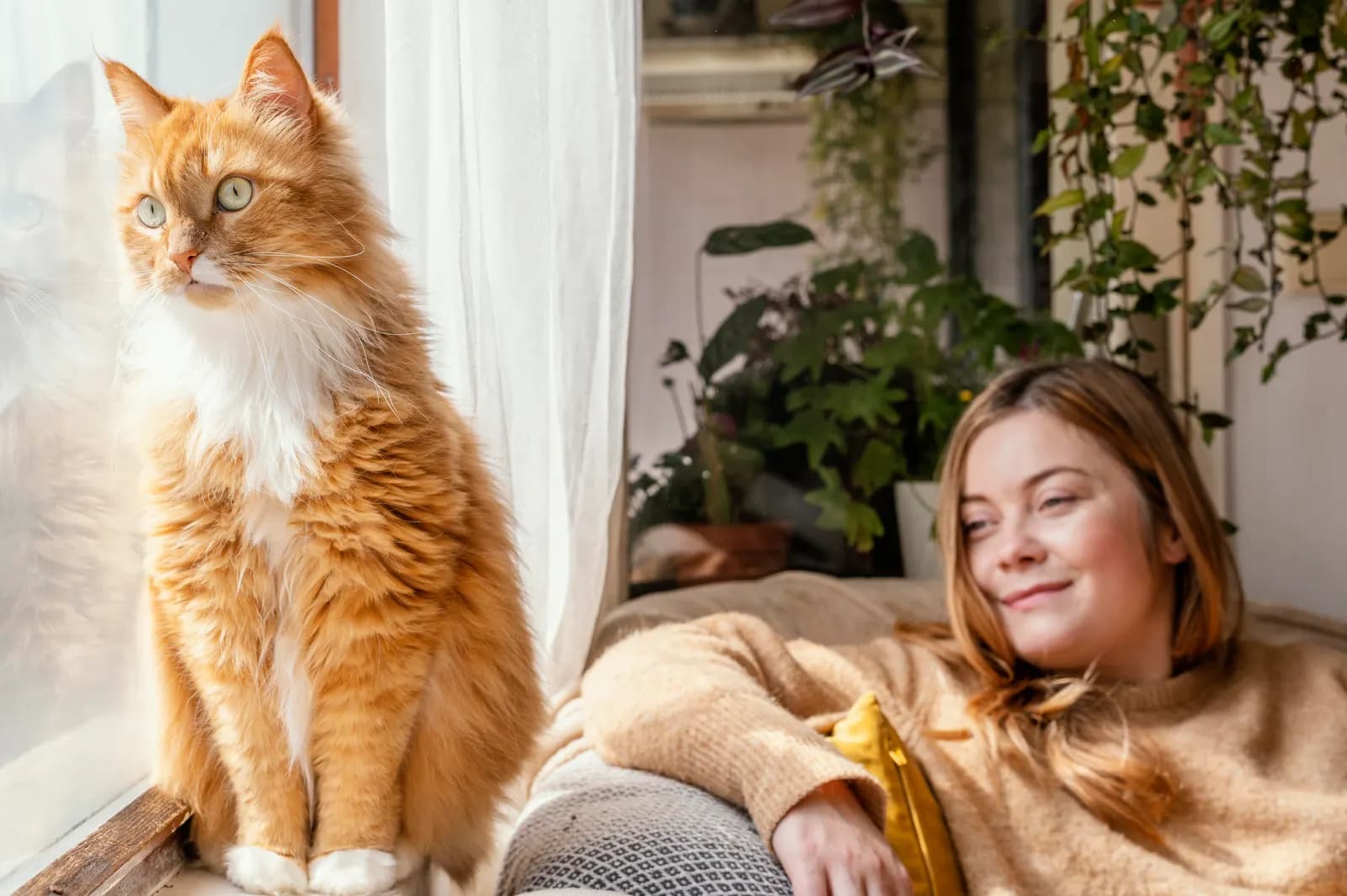 O segmento de gato no delivery está redesenhando o mercado pet